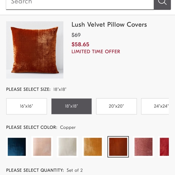 West Elm Accents Set Of 4 West Elm Velvet Pillow Covers Poshmark